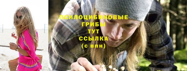 хмурый Нефтекумск