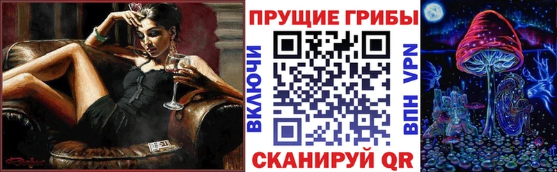 Псилоцибиновые грибы Cubensis  даркнет клад  Урус-Мартан  МЕГА ссылки 