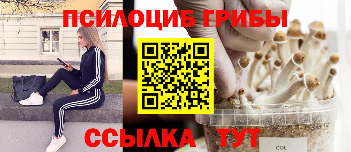 Галлюциногенные грибы Cubensis  Вход с VPN  Урус-Мартан  Псилоцибиновые грибы мицелий 