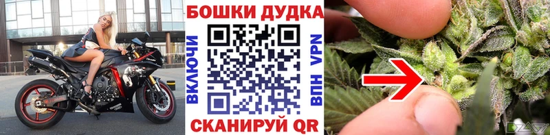 Бошки марихуана ГИДРОПОН  купить наркотики цена  Урус-Мартан 