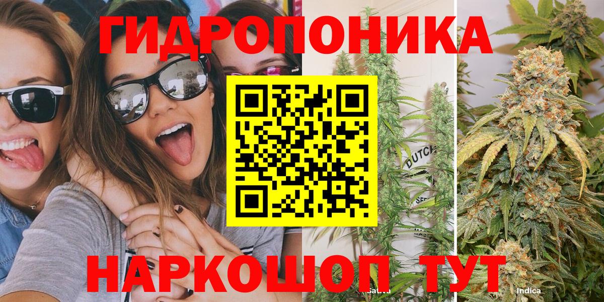 Марихуана OG Kush Урус-Мартан